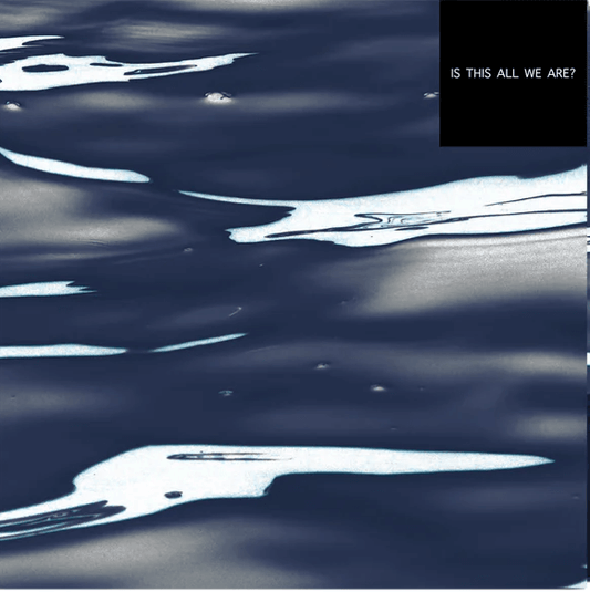 Vistas - Is This All We Are? (CD)