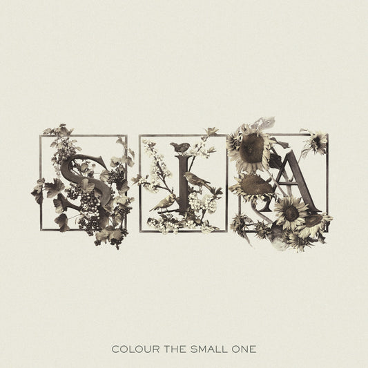 Sia - Colour The Small One (RSD 2024) LP