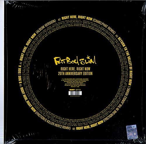 Fatboy Slim - Right Here, Right Now Remixes (LP)