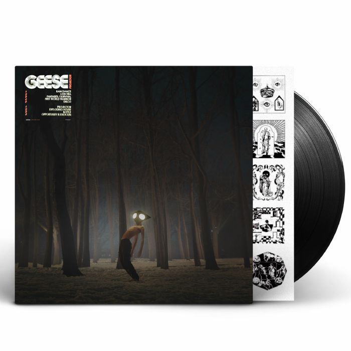 Geese – Projector — cover artwork