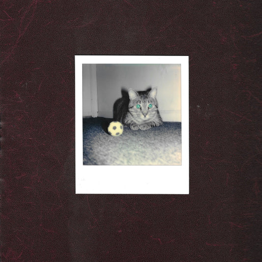 Goalie's Anxiety at the – Ways of Hearing — cover artwork